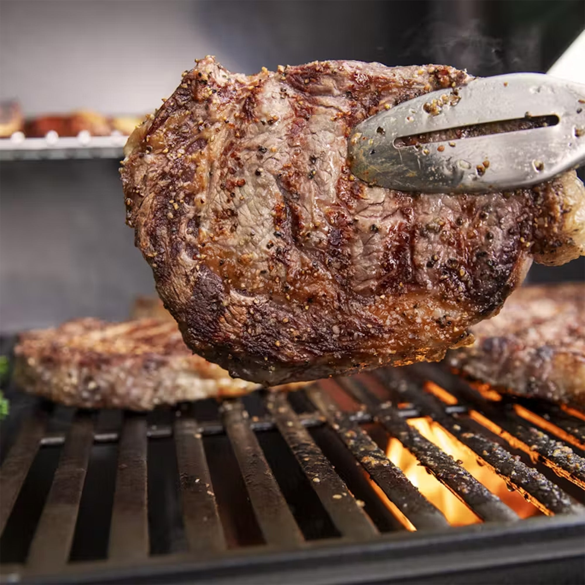 Genesis E-315 BBQ 1500387